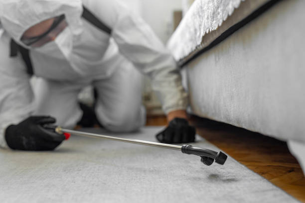Professional Cockroach Control technician working in Manson, WA