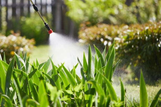 24/7 Emergency Cockroach Control experts in Manson, WA