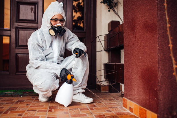 Reliable Cockroach Control contractor in Manson, WA by Nex Pest Control
